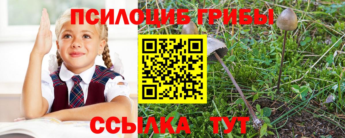Галлюциногенные грибы прущие грибы  Галлюциногенные грибы Magic Shrooms  Вход с VPN  Томск 